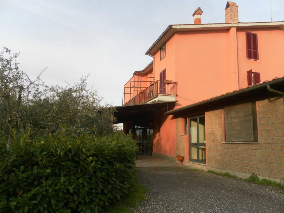 Castel Sant'Elia Il Contado B&B מראה חיצוני תמונה
