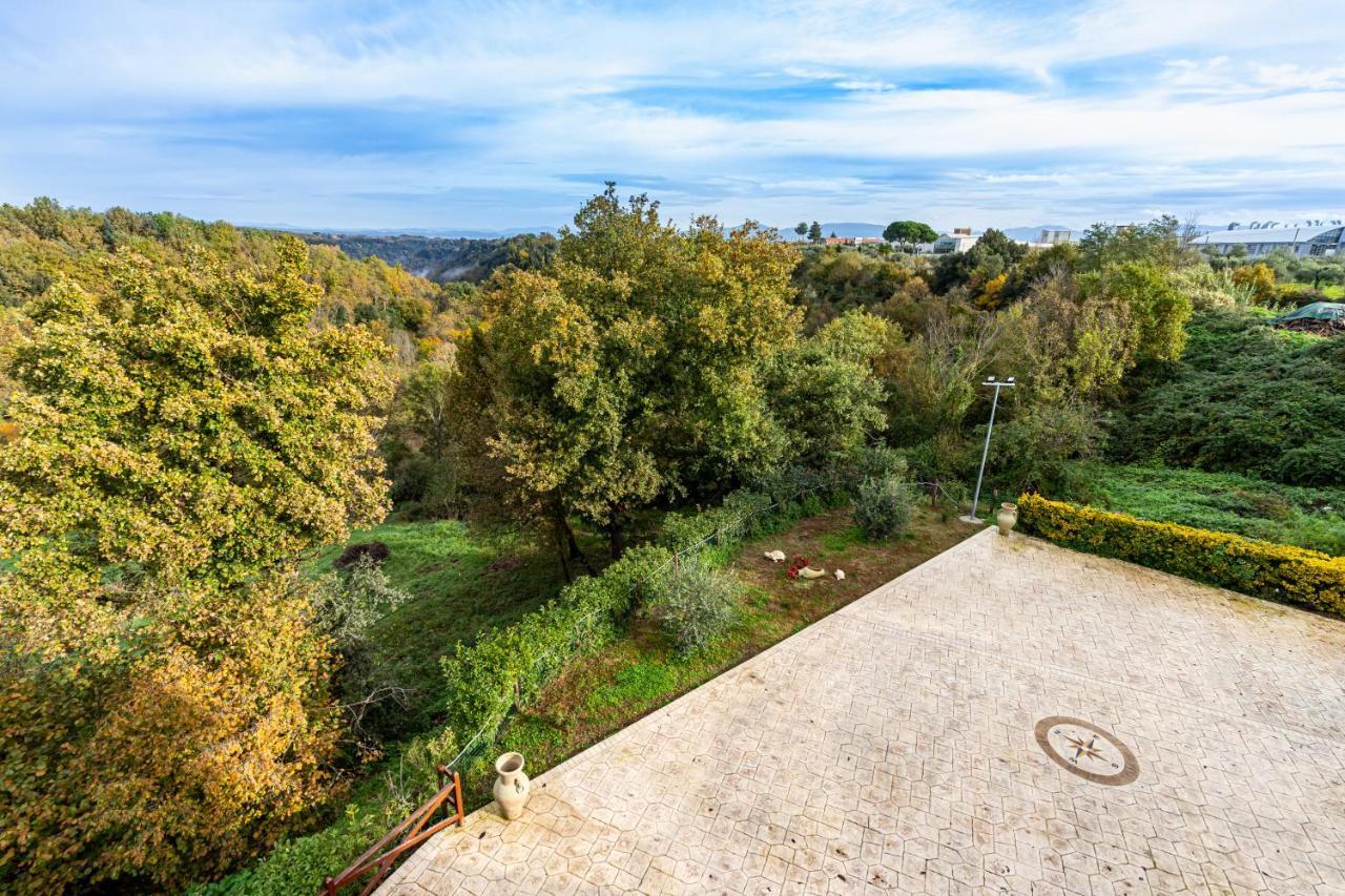 Castel Sant'Elia Il Contado B&B מראה חיצוני תמונה